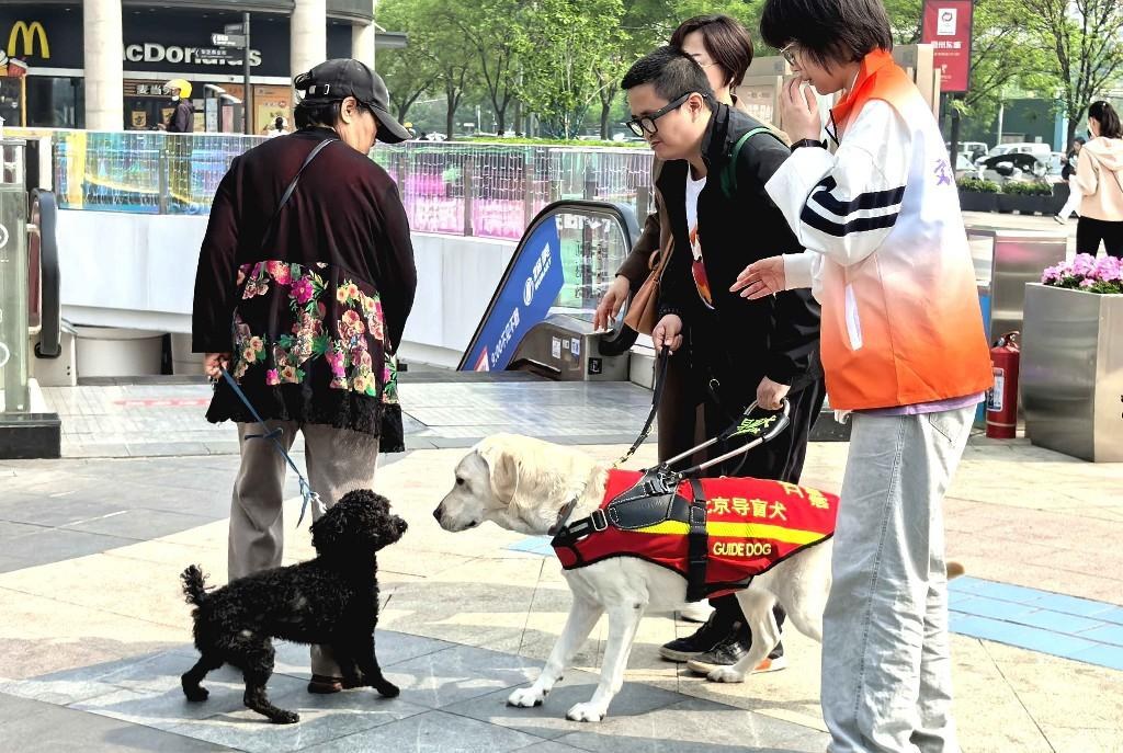 Die Veranstaltung zum Tag des Blindenfuehrhundes rief die Oeffentlichkeit dazu auf, Blindenfuehrhunde zu verstehen und zu akzeptieren und die Regeln 'nicht streicheln, nicht fuettern, nicht rufen, nicht abweisen' einzuhalten. Bildquelle: Foto des Science and Technology Daily-Reporters Hong Xing.