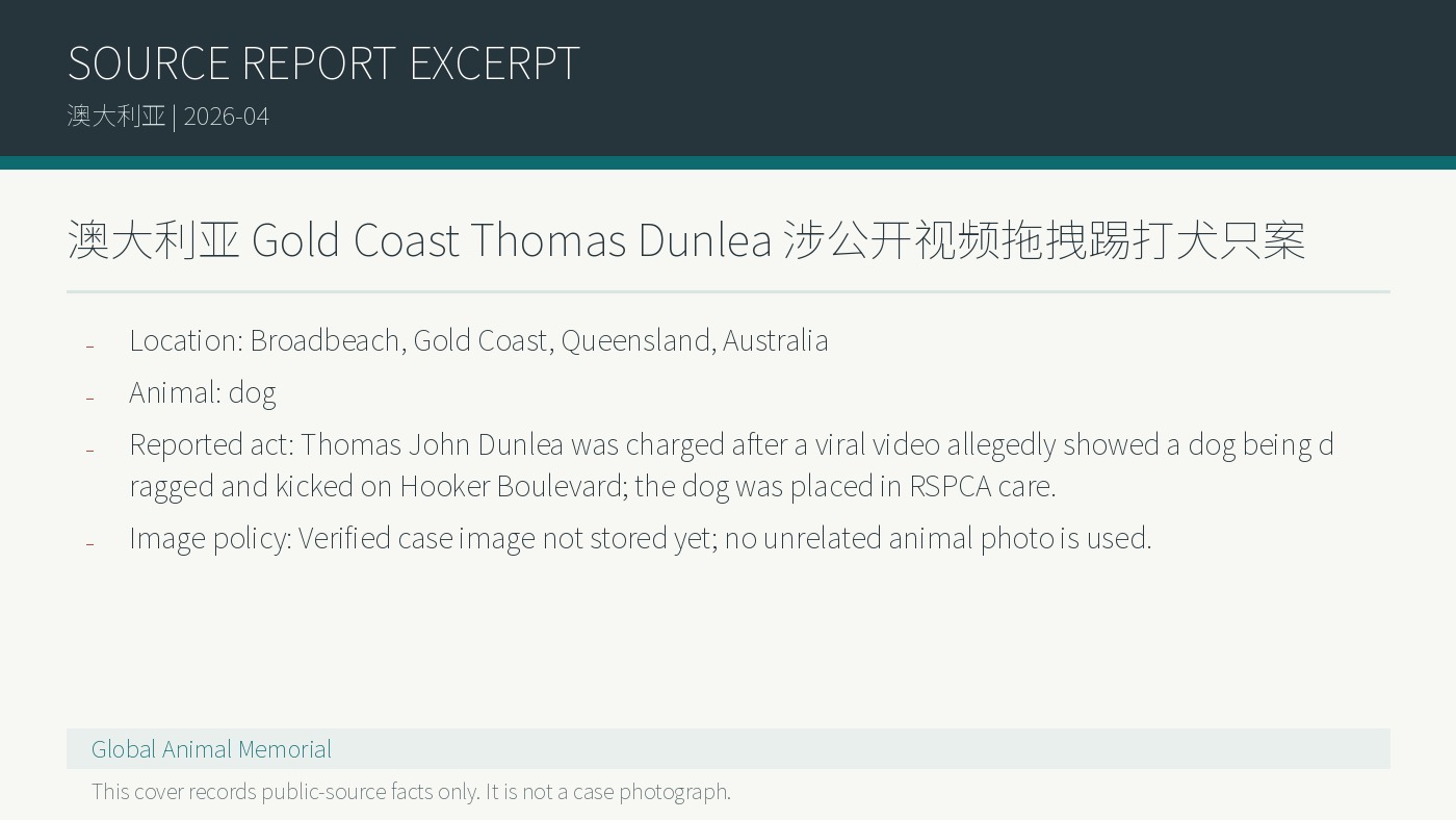 Australien Gold Coast: Thomas Dunlea nach mutmasslichem Video von Ziehen und Treten eines Hundes angeklagt