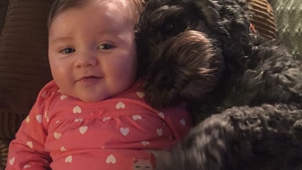 Viviana und Polo