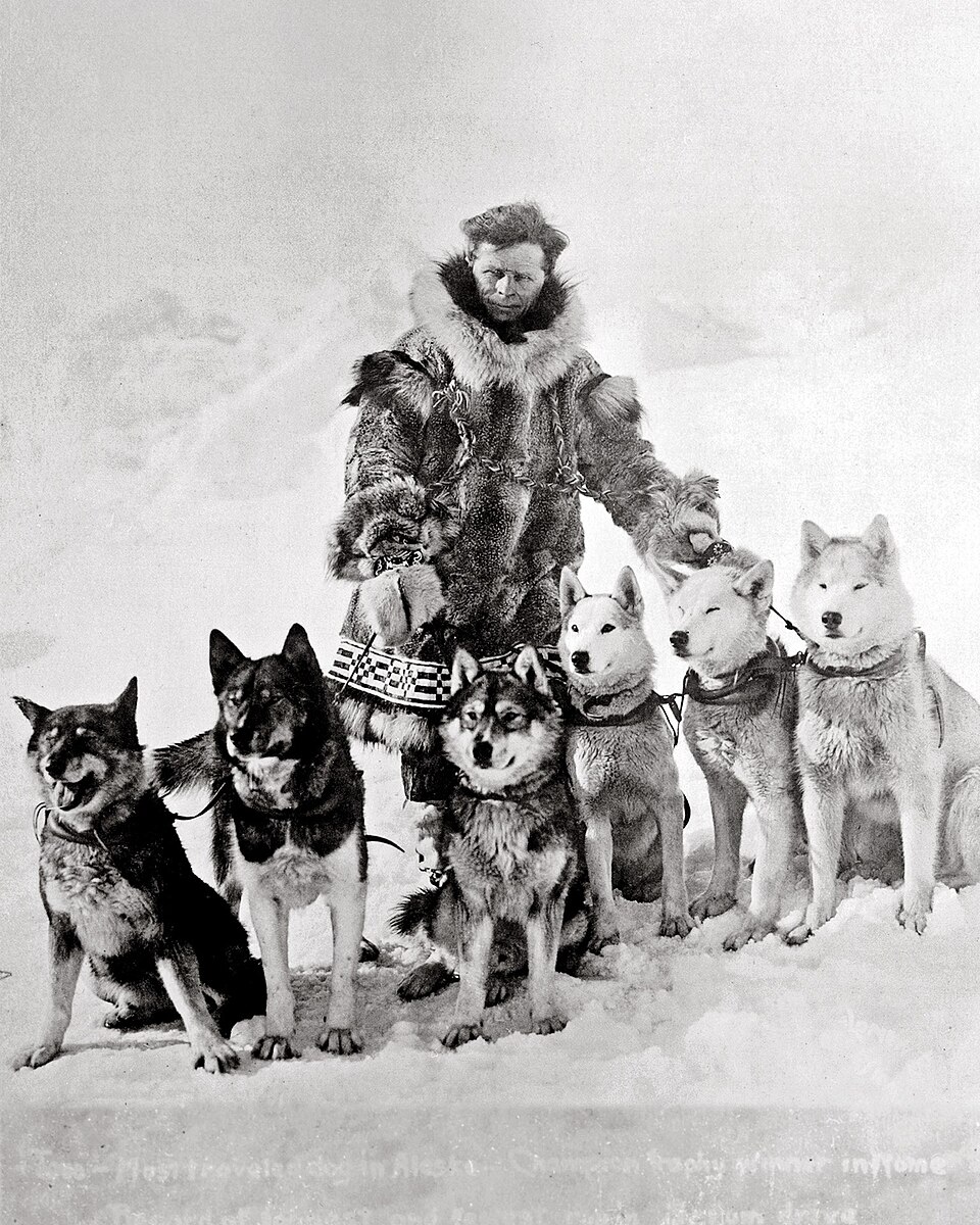 Leonhard Seppala mit Hundeteam. Togo war sein beruehmter Leithund. Bildquelle: Wikimedia Commons.