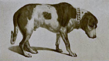 Historisches Bild von Barry. Bildquelle: Wikimedia Commons, lokal gespeichert.