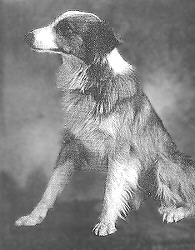 Historisches Bild von Bobbie. Bildquelle: Wikimedia Commons, lokal gespeichert.