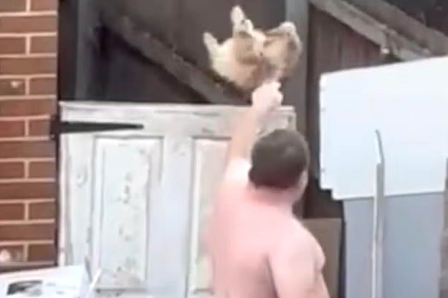 RSPCA image used in People reporting showing James Andrew Marchant throwing Boomer the dog over a garden gate