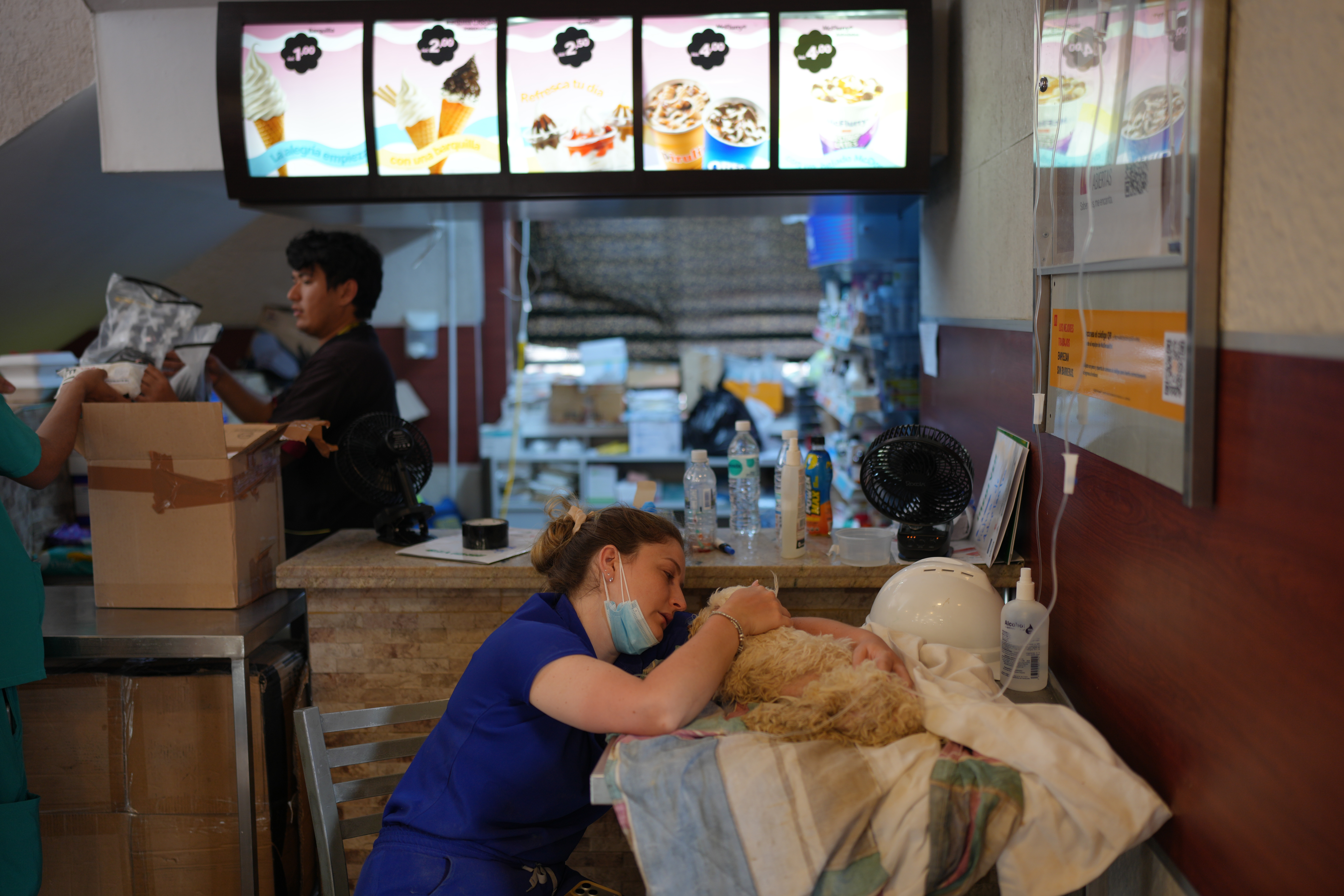 Gabriela Alves streichelt Buddy in einem McDonald's in La Guaira, der als voruebergehendes Zentrum fuer medizinische Hilfe und Haustier-Wiedervereinigung genutzt wurde. AP sagt, sie habe Buddy eine Woche nach den Erdbeben lebend gefunden. Quelle: AP Photo / Matias Delacroix.