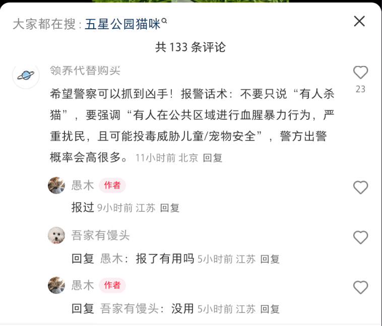 Comment screenshot: a commenter suggested reporting from the angle of public-area violence and safety risks; the poster 