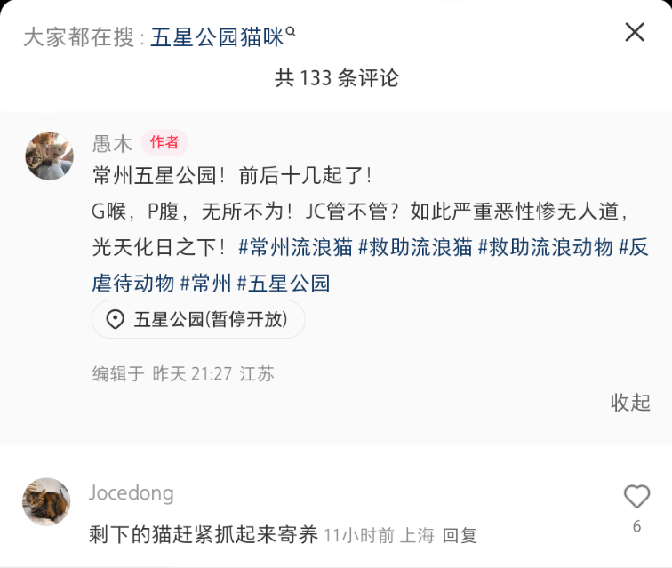 Comment screenshot: a commenter urged that the remaining cats be caught and fostered, showing rescue discussion in the c