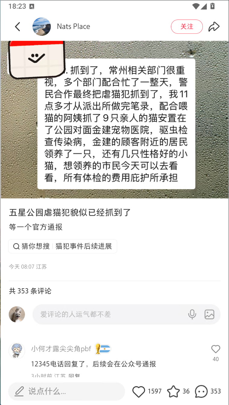 Xiaohongshu-Nachtrag: Nutzerinnen und Nutzer berichten, zuständige Stellen seien eingeschritten, eine mutmaßlich beteiligte Person sei gefunden worden und einige zutrauliche Katzen seien in einem Tierkrankenhaus untergebracht worden.