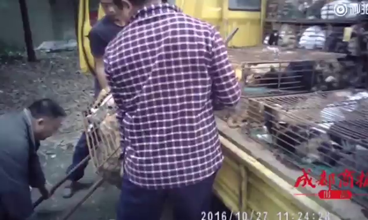Im Bericht gezeigtes Bild mit Bezug zum Lager, lokal gespeichert.