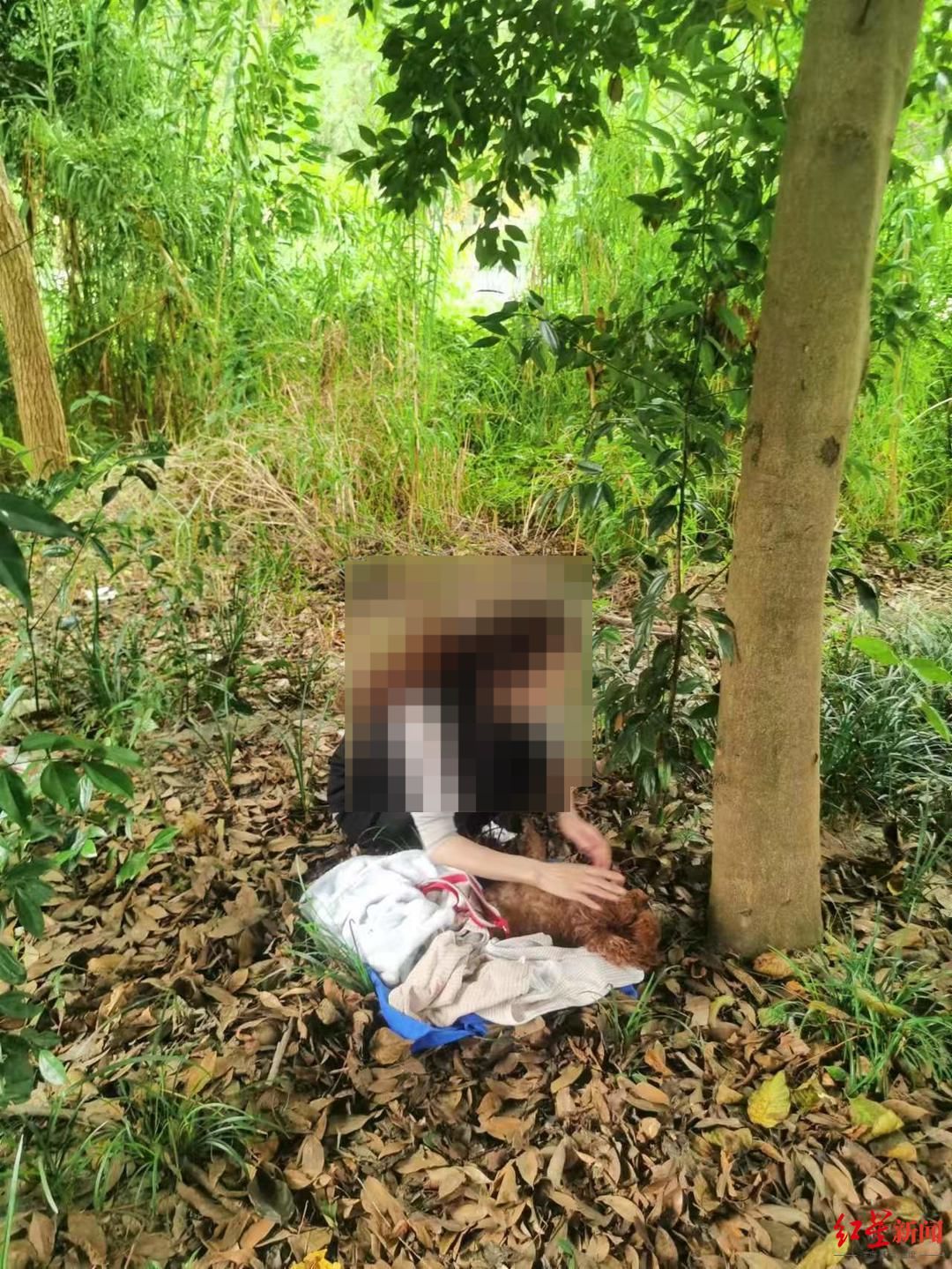 Von einem Hundehalter veroeffentlichte Bilder zum betroffenen Hund