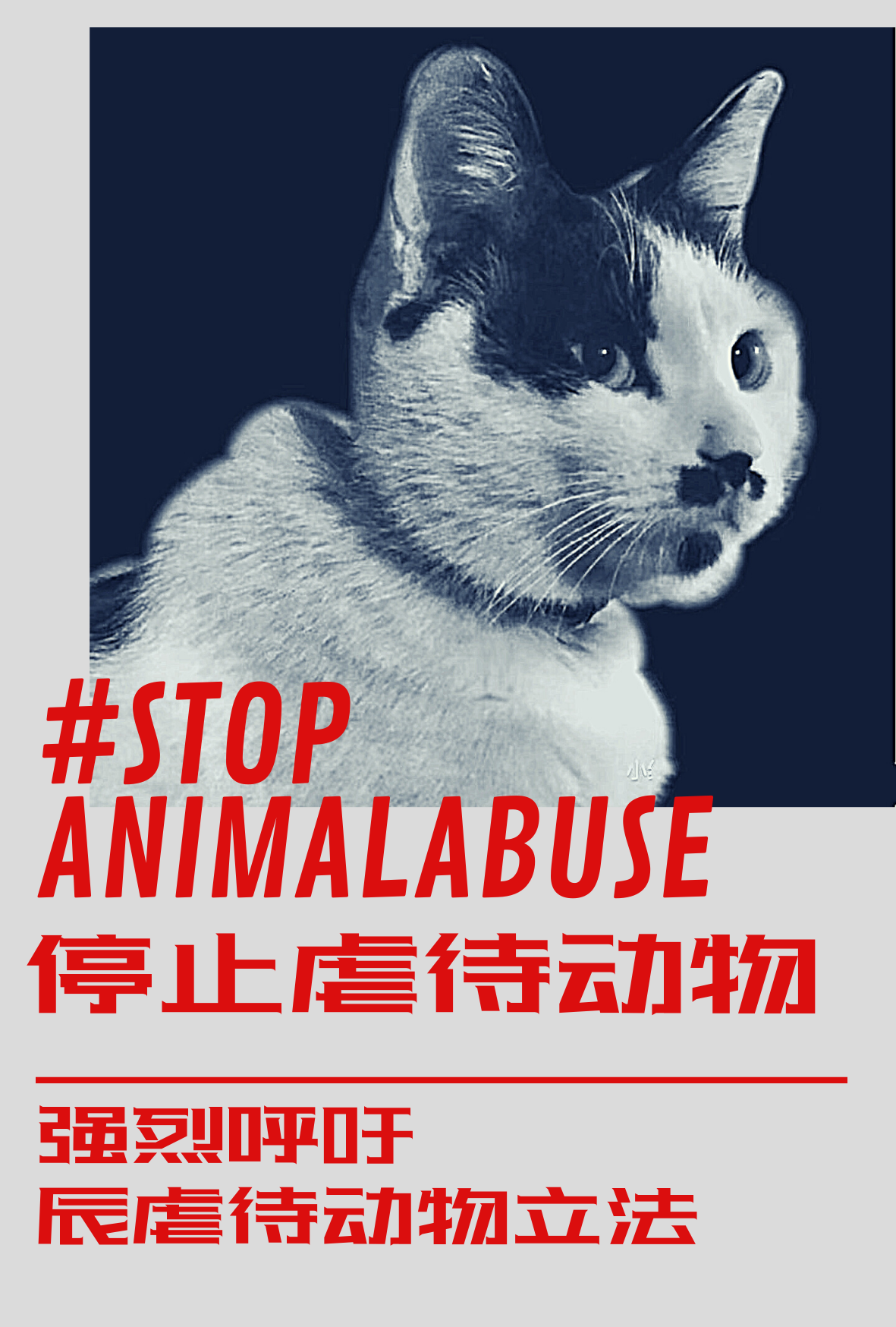 Feline Guardians Anti-Missbrauchs-Poster