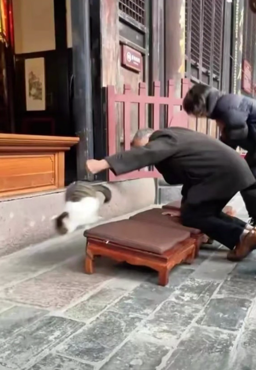 Oeffentlich berichtetes Bild, lokal gespeichert: China: Tempelbesucher schlaegt 