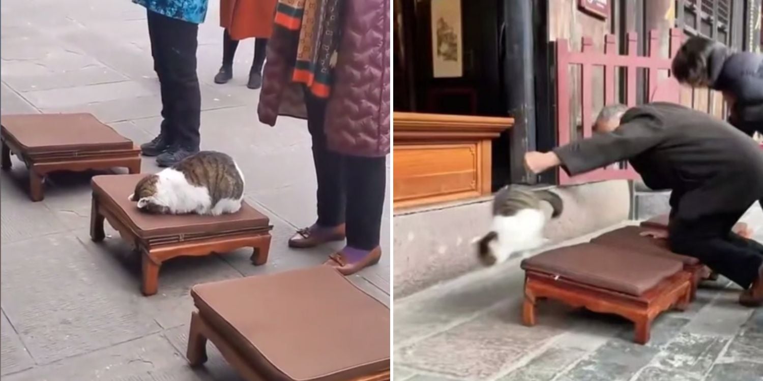 Oeffentlich berichtetes Bild, lokal gespeichert: China: Tempelbesucher schlaegt 