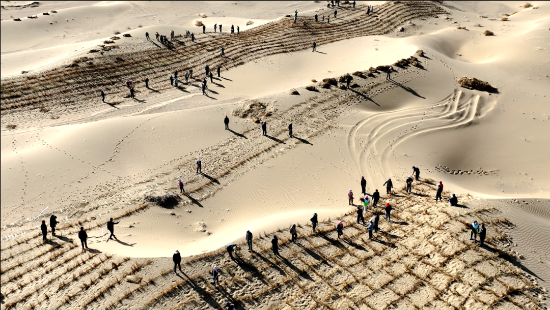 Strohschachbrett zur Sandfixierung in Zhangye/Gaotai