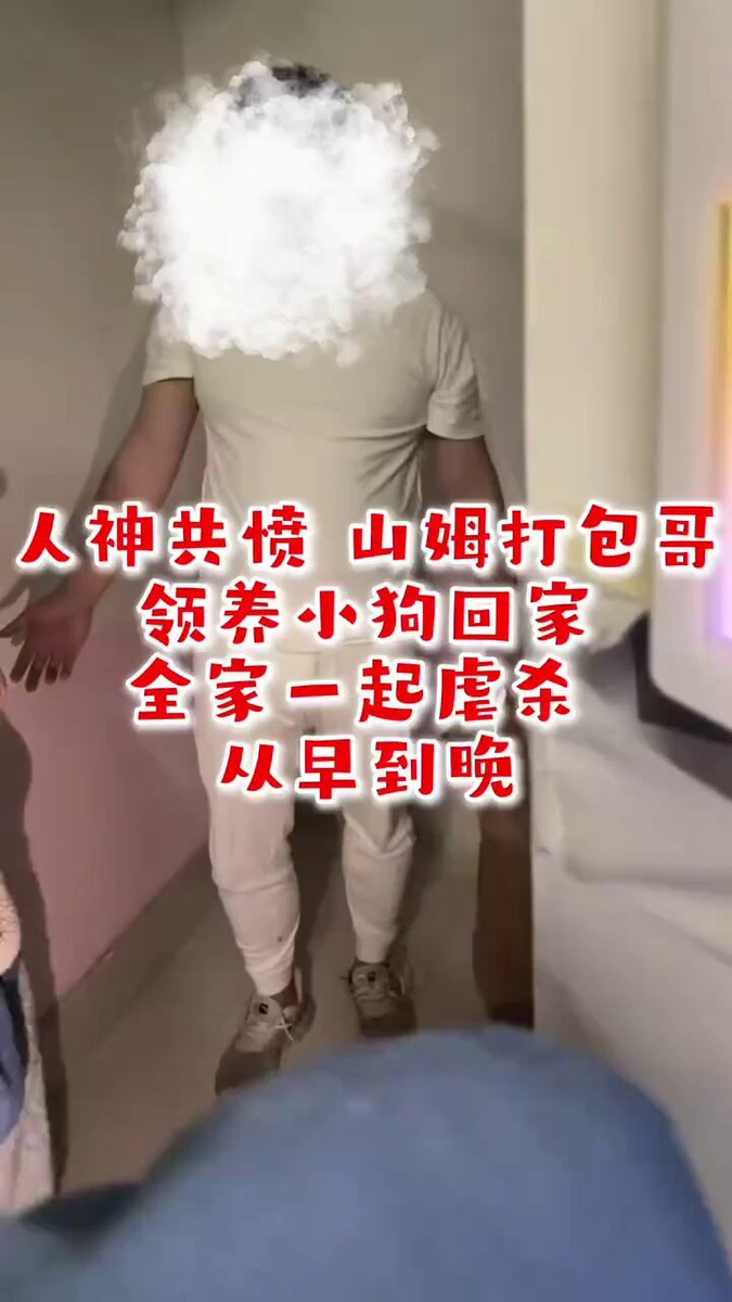 送养与伤害线索相关画面