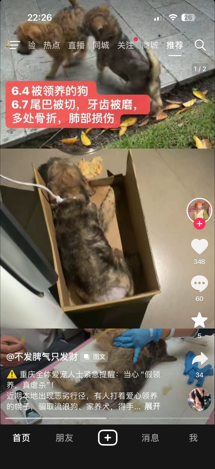 公开视频画面：受害动物相关线索