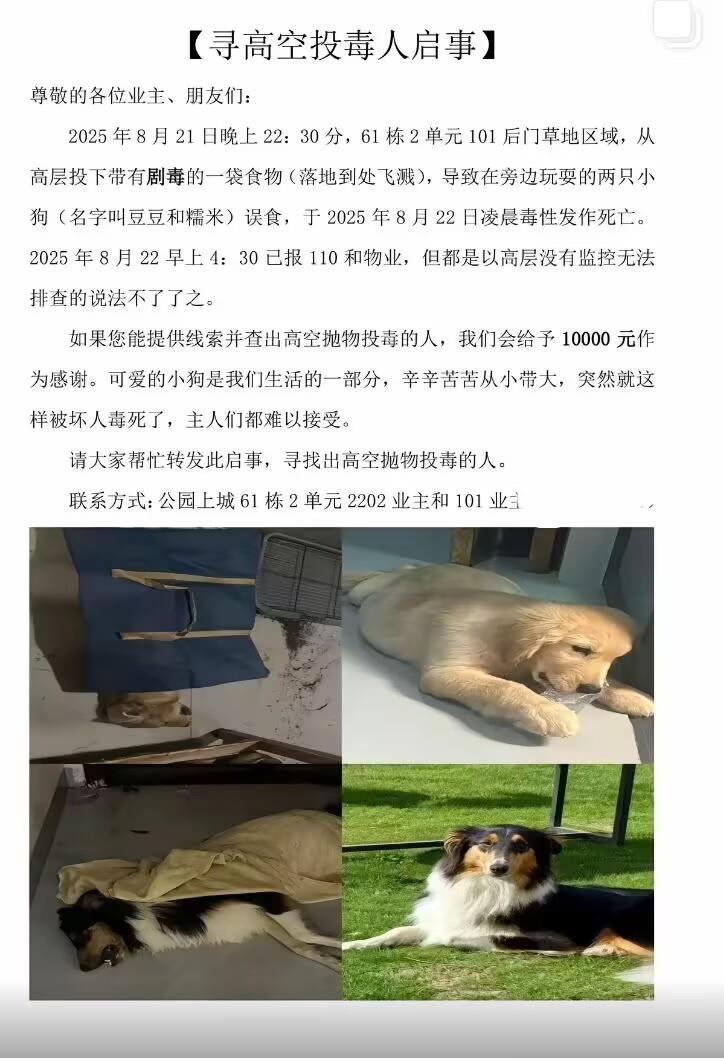 Berichtsbild einer Belohnungsnotiz im mutmasslichen Hundevergiftungsfall in Chongzuo, Guangxi