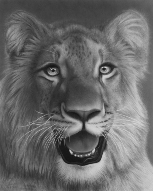 Oeffentliches Bild zu Christian the Lion. Bildquelle: Wikimedia Commons, lokal gespeichert.