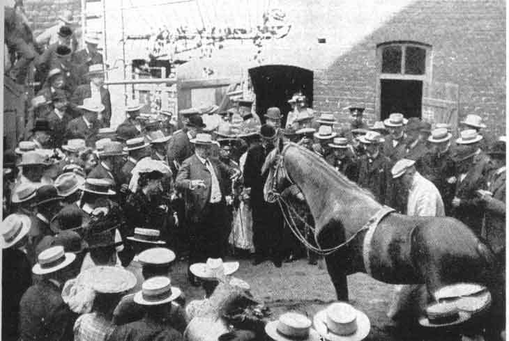Bild einer Vorfuehrung von Clever Hans im Jahr 1904. Bildquelle: Wikimedia Commons, lokal gespeichert.