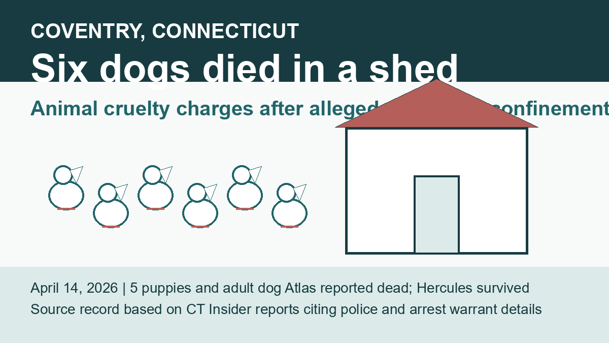 Coventry six dogs shed deaths archive cover