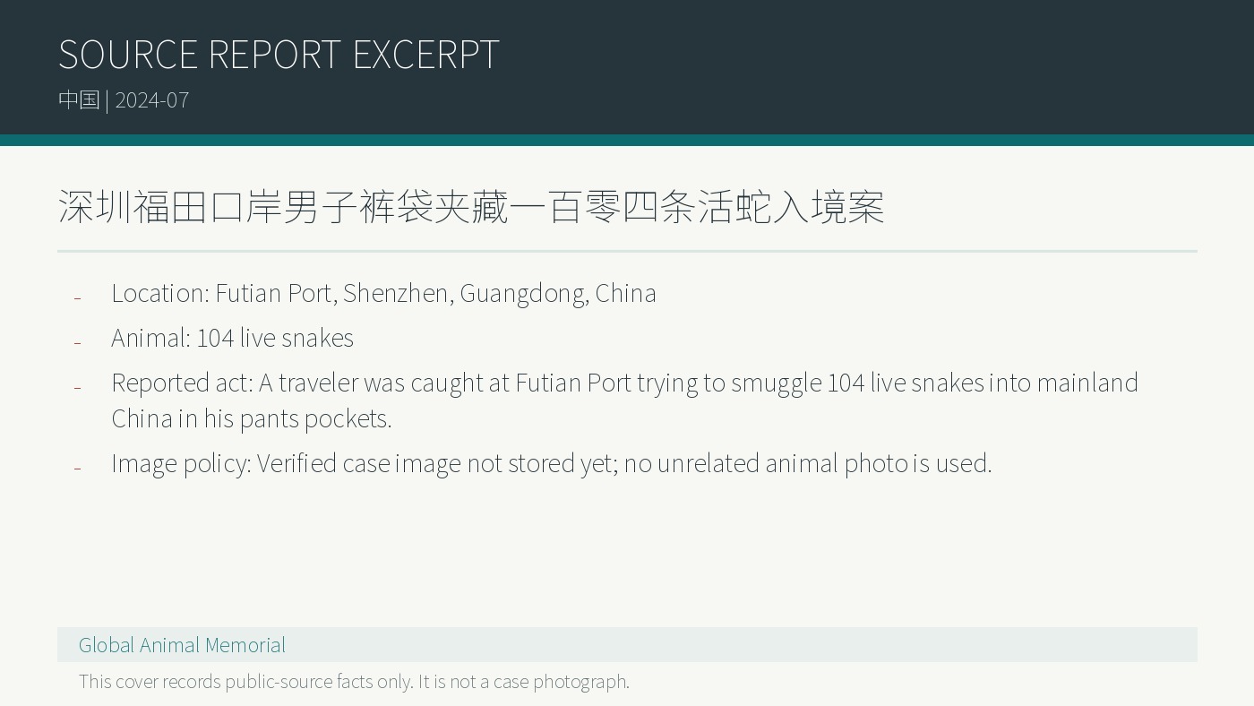 China Shenzhen Futian Port: Mann soll 104 lebende Schlangen in Hosentaschen eingefuehrt haben