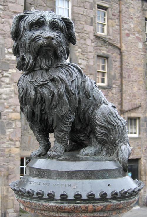 Statue von Greyfriars Bobby. Bildquelle: Wikimedia Commons, lokal gespeichert.