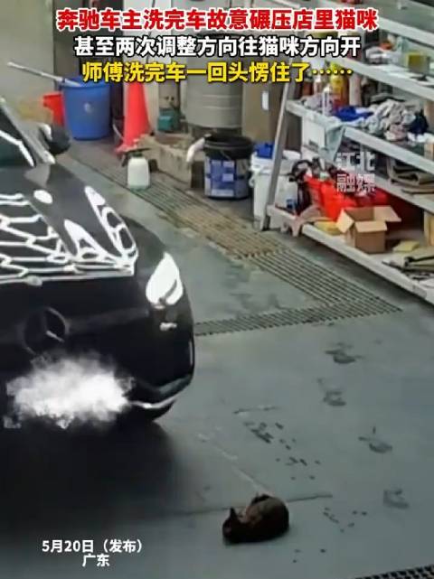 Ueberwachungsbild aus einer weiteren Medienweitergabe