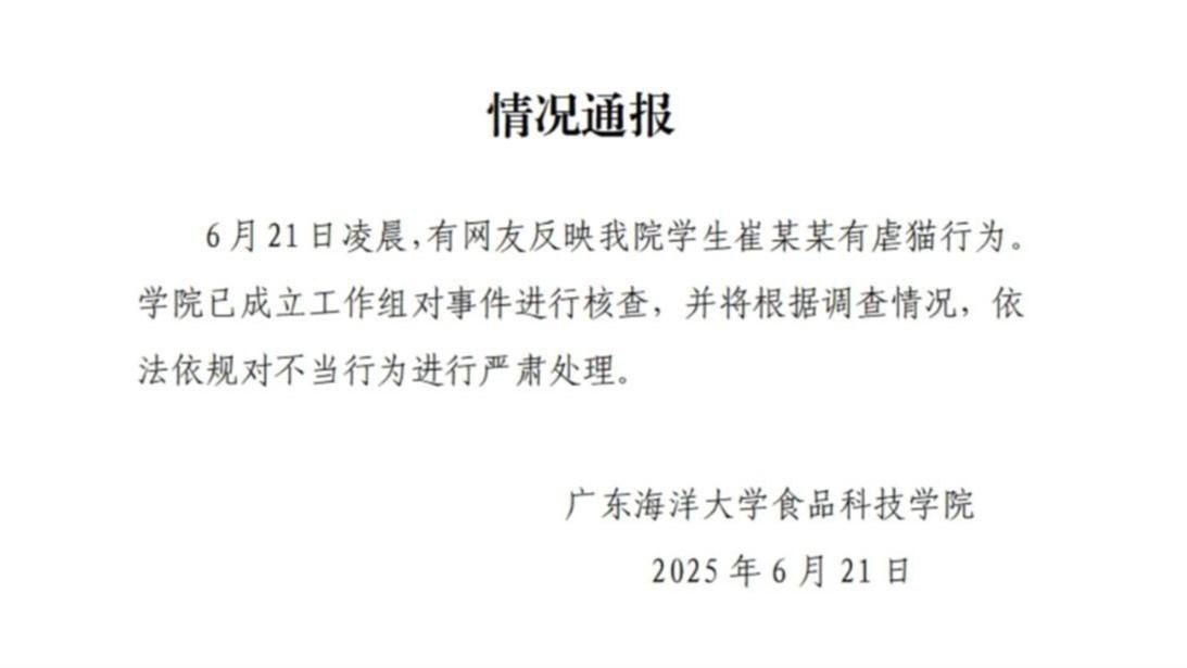 Fall an der Guangdong Ocean University: Student nahm die Mutterkatze eines Convenience Stores mit und toetete sie