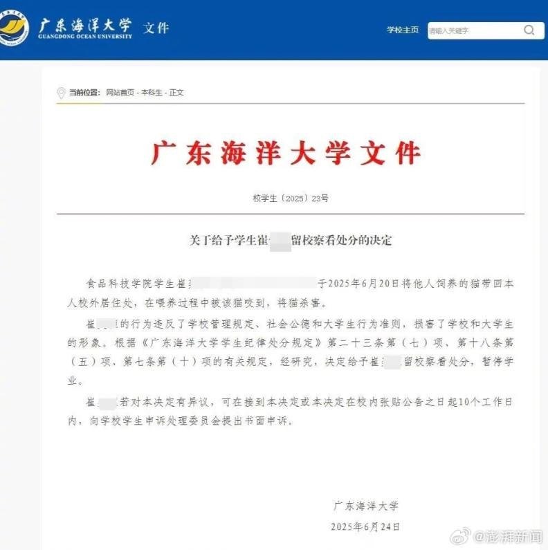 Fall an der Guangdong Ocean University: Student nahm die Mutterkatze eines Convenience Stores mit und toetete sie