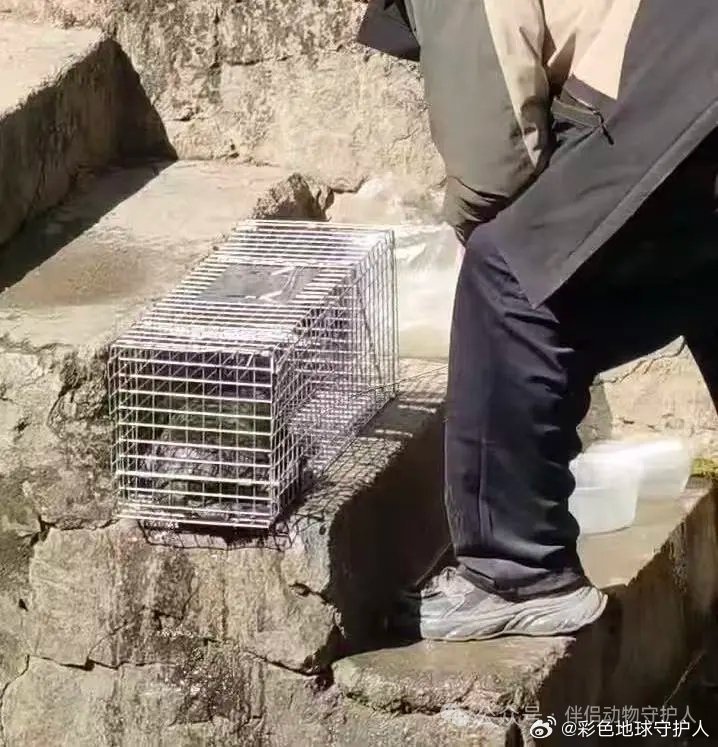 广州白云石门街红星村河涌边,公开传播画面中的捕笼和河涌环境