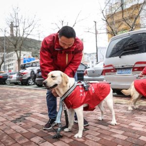 Interaktion zwischen einem Blindenfuehrhund und Trainingspersonal. Bildquelle: Xinhua.