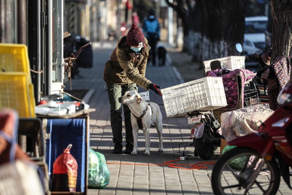 Bild aus einem Xinhua-Bericht, das den Blindenfuehrhund Mango und seinen Nutzer gemeinsam unterwegs zeigt; verwendet als Hintergrundbild zur Arbeitsbeziehung von Blindenfuehrhunden. Bildquelle: Xinhua.