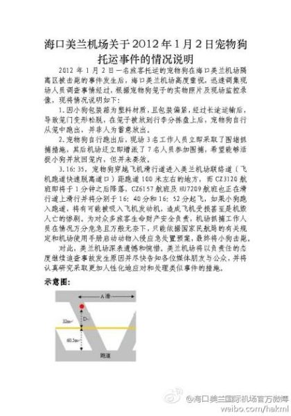 Lageerklaerung des Flughafens Haikou Meilan zum Transportfall des Haushundes Gege