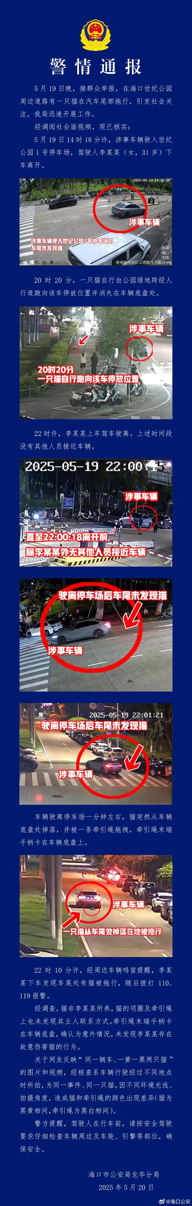 Langes Mitteilungsbild der Polizei Haikou zum Fall der mitgeschleiften Katze