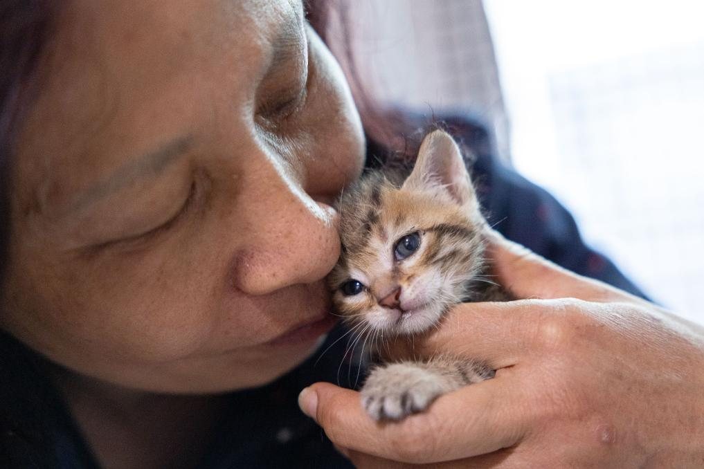 He Jianying haelt ein betreutes Kaetzchen im Arm. Bildquelle: bebilderter Xinhua-Bericht.