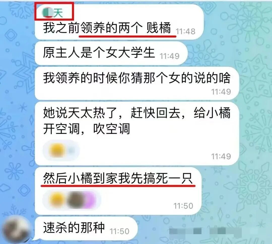 Von Phoenix H5 / China Newsweek gespeicherter Chat- oder Social-Media-Screenshot. Der Bildinhalt dient der Erlaeuterung von Adoptions-, Gruppenhinweisen und oeffentlicher Diskussion, die Freiwillige erwaehnten.