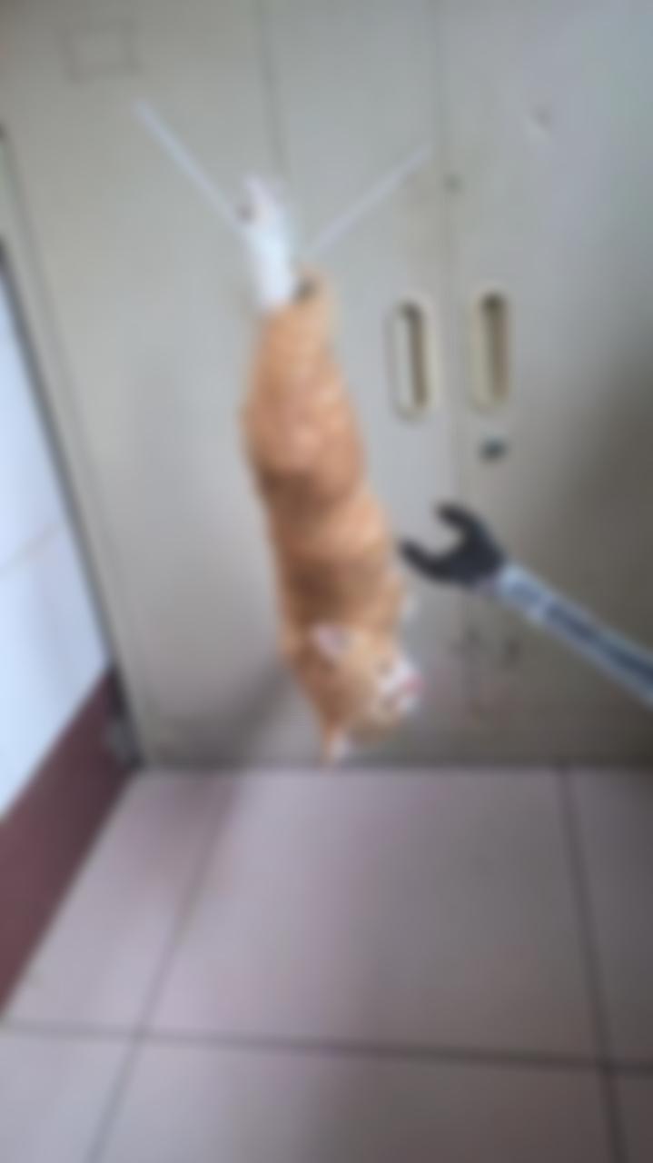 Screenshot von oeffentlichem Video- oder Bildbeweismaterial auf einer Tencent-News-Seite. Das Bild dient zur Erlaeuterung des in Medienberichten genannten oeffentlichen Materials und der Umgebungsindizien.