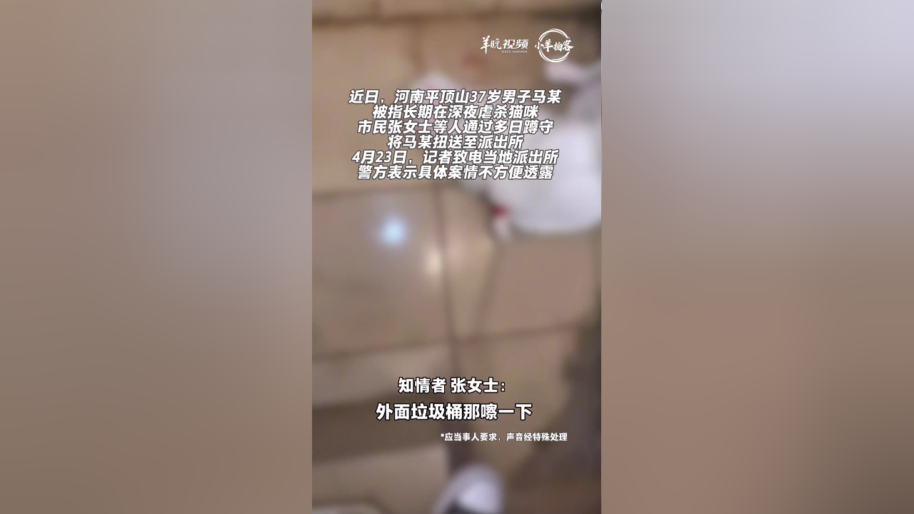 Videothumbnail auf einer Tencent-News-Seite. Das Bild ergaenzt den oeffentlichen Videohintergrund zur Recherche und Identifizierung von Hinweisen durch Frau Zhang und andere.