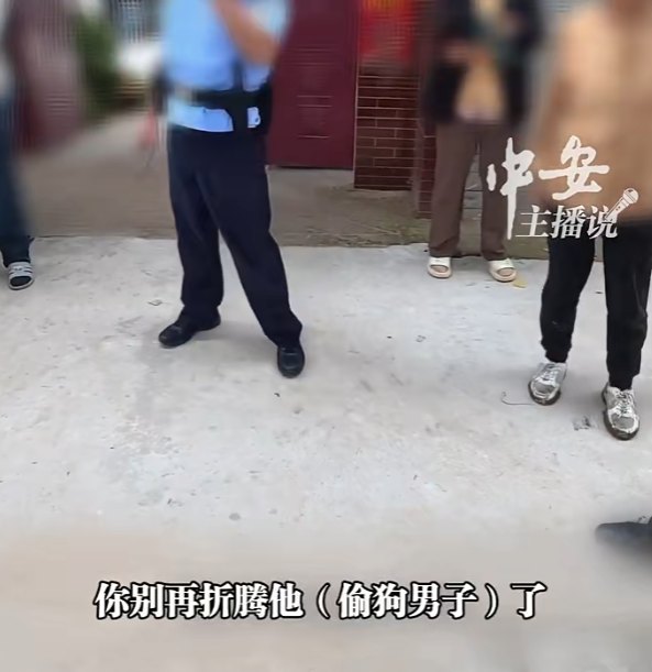 Public report video frame of Mr. Guo searching for and checking leads