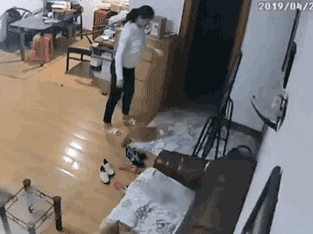HKUST-Student Dong, Misshandlung der Katze eines Mitbewohners in Shenzhen