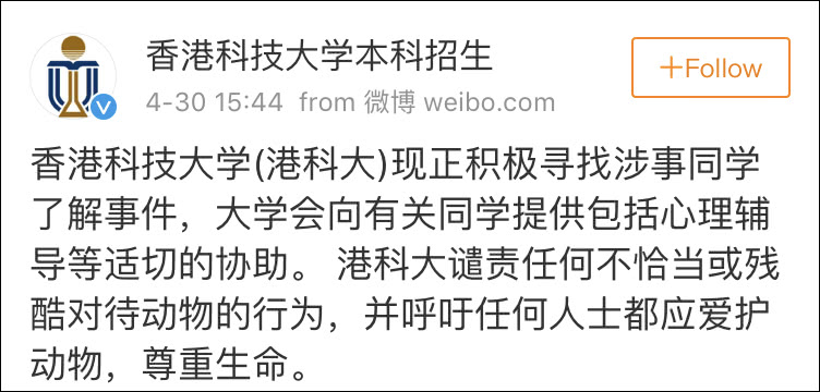 HKUST-Student Dong, Misshandlung der Katze eines Mitbewohners in Shenzhen