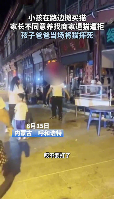 Weiteres Videostandbild zum Fall der getoeteten Katze in Hohhot