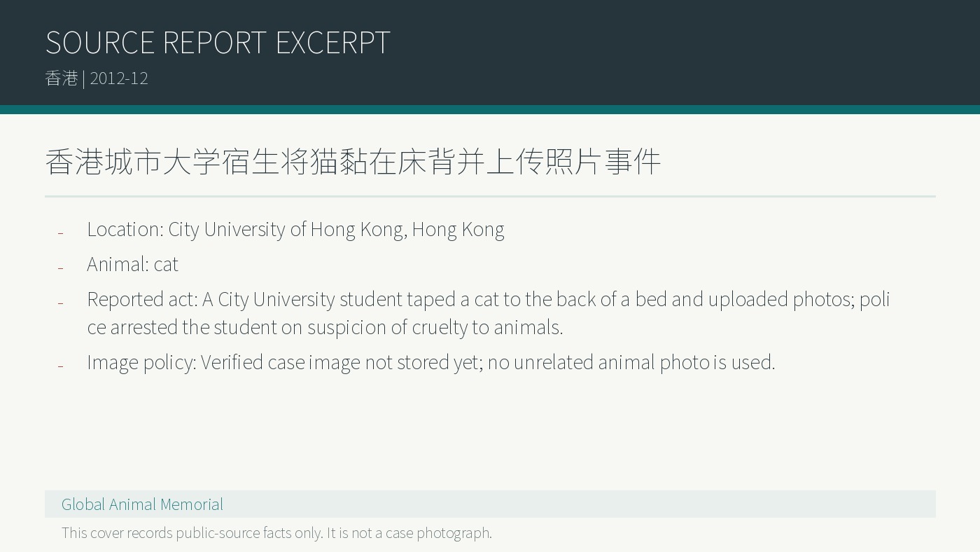 Hongkong City University: Wohnheimstudent klebte Katze an eine Bettrueckseite und lud Foto hoch