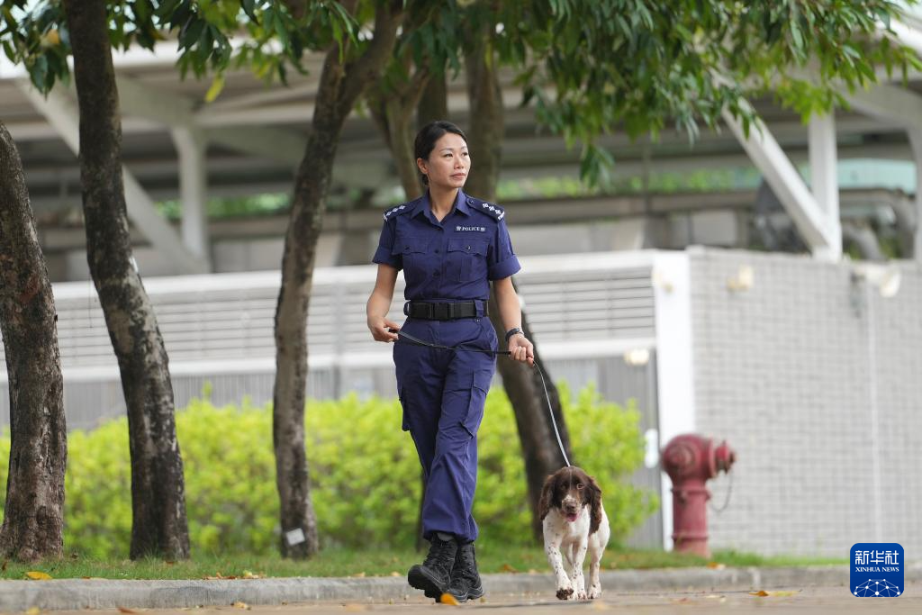Welpe der Hongkonger Polizeihundestaffel. Xinhua, Foto von Lu Xiaowei.