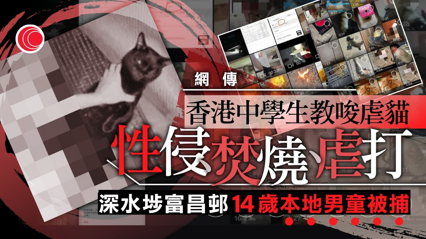 有线新闻报道配图：警方拘捕相关报道画面