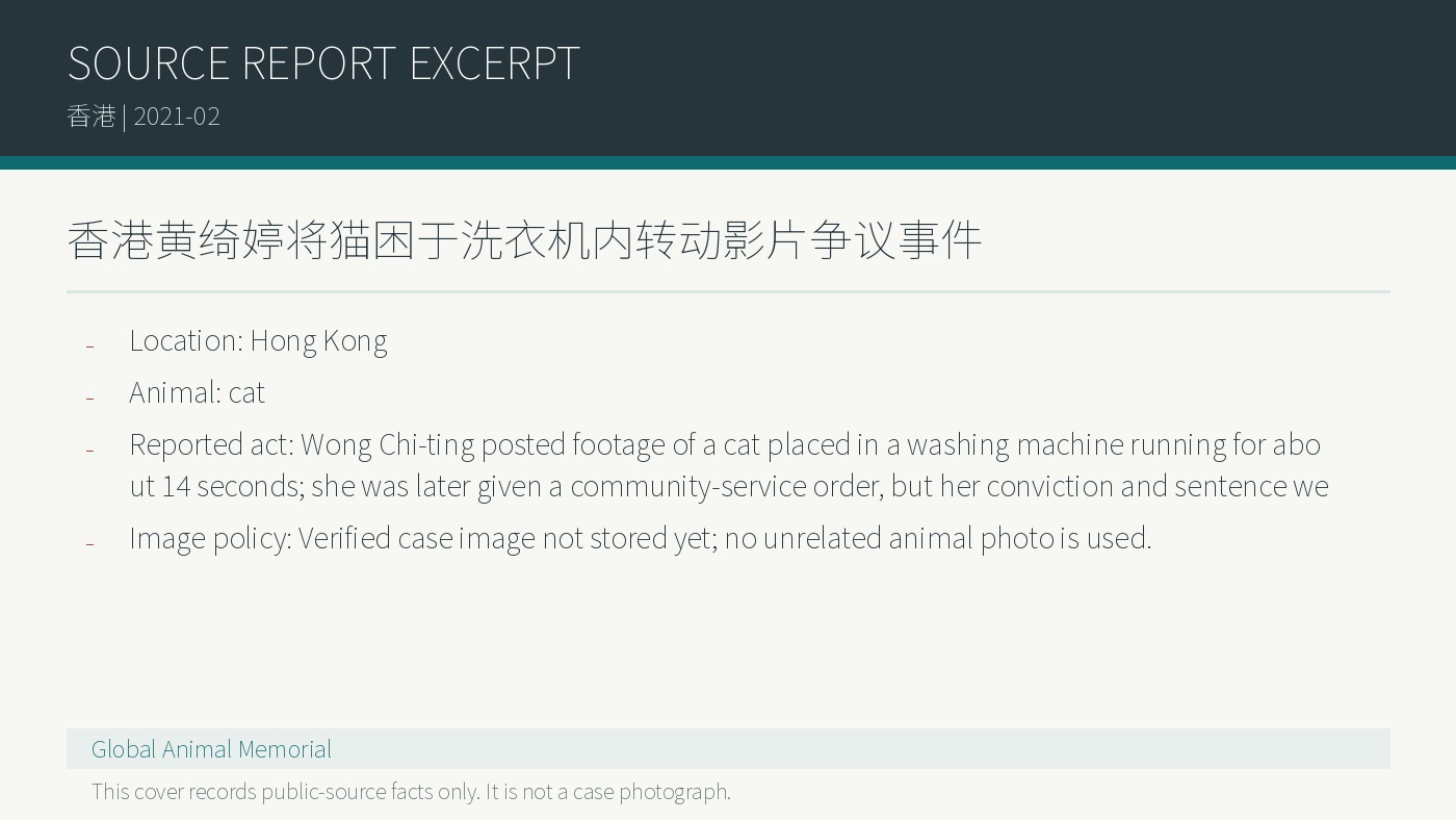Hongkong: Kontroverse um Wong Chi-ting und ein Video einer Katze in einer laufenden Waschmaschine