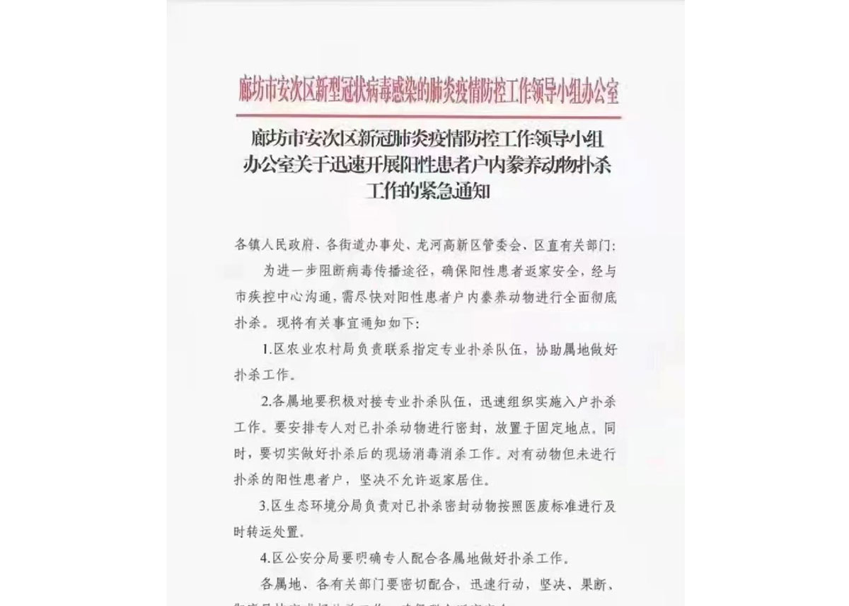 Screenshot einer Mitteilung aus Anci, Langfang, ueber die Toetung von Haustieren positiver Haushalte
