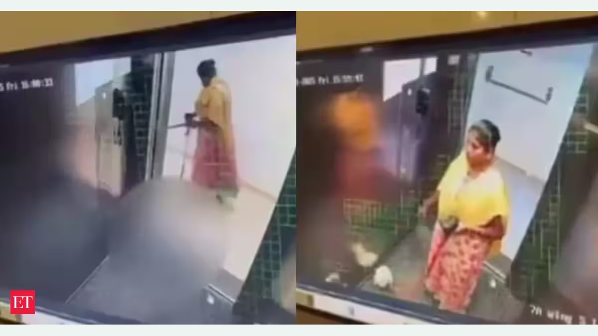 Indien: Hausangestellte soll Haustierwelpen Goofy in einem Aufzug in Bengaluru getoetet haben