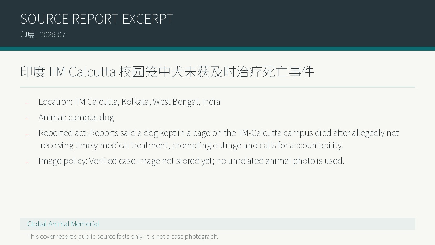 Indien Kolkata: Hund auf dem Campus des IIM Calcutta starb Berichten zufolge ohne rechtzeitige Behandlung
