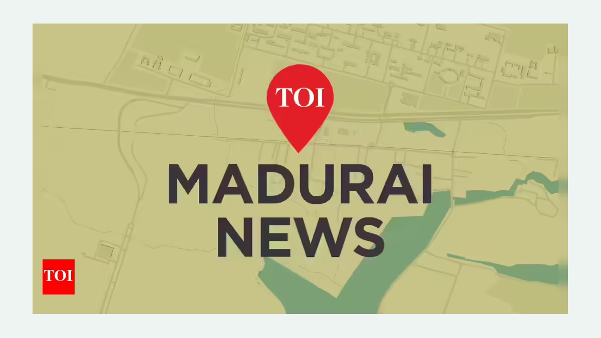 Indien: Mutmasslicher Ziegelwurf eines Mannes auf einen nicht aggressiven Strassenhund in Madurai