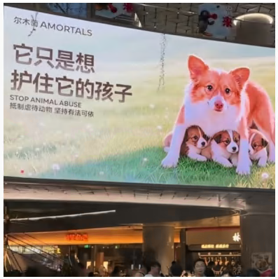 Screenshot aus Xiaohongshu: AMORTALS-Anzeige mit der Botschaft, sie habe nur ihre Kinder schützen wollen.